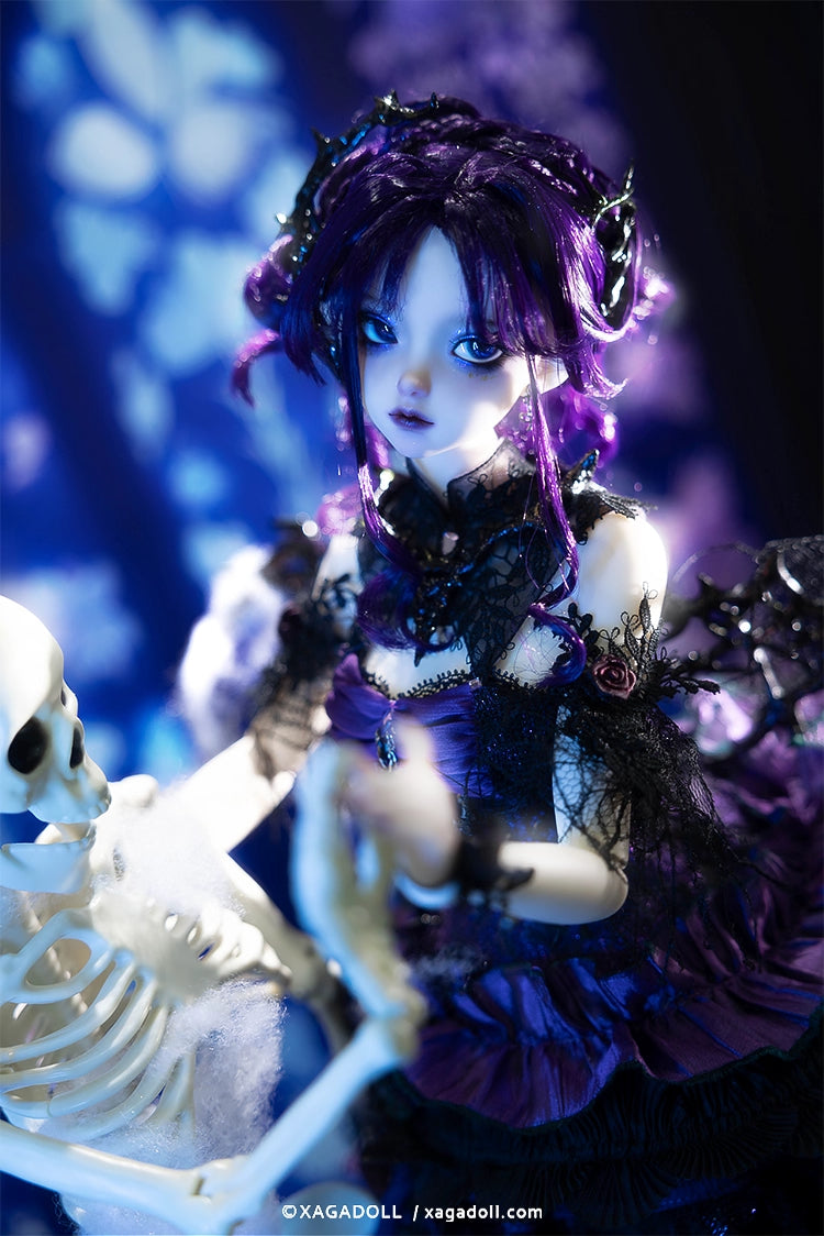 XAGADOLL 1/3 BJD full set Rowlinsa