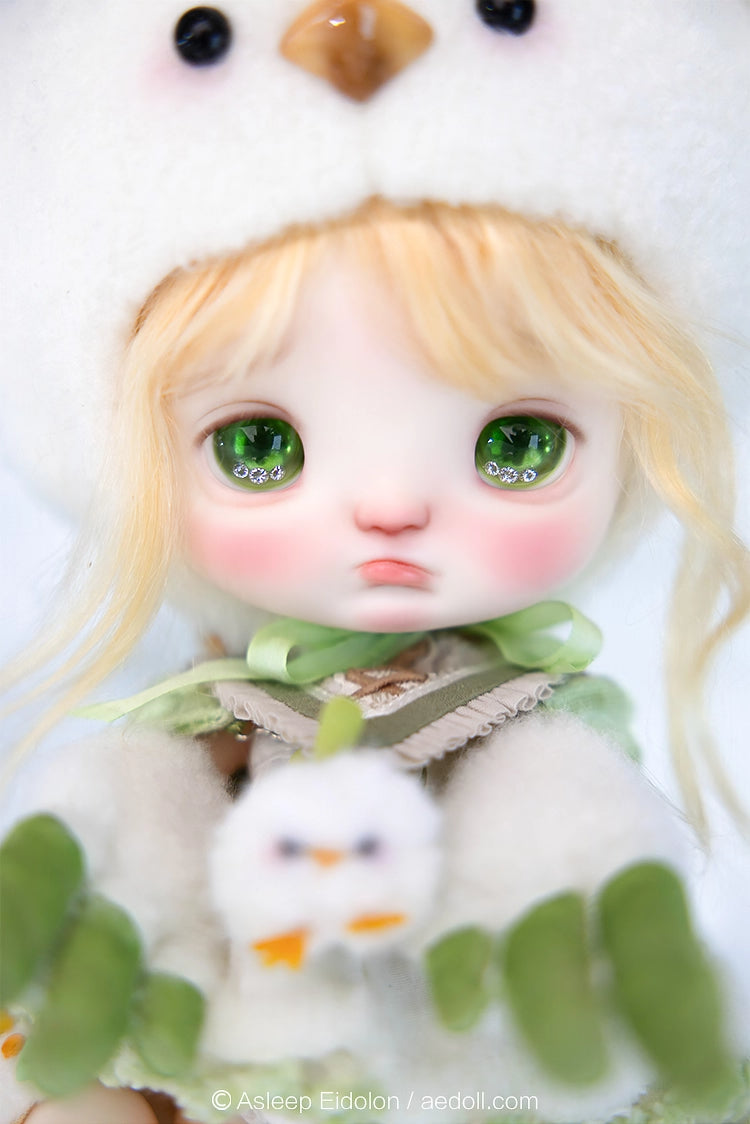 AEDOLL 1/6 full set ChuMi