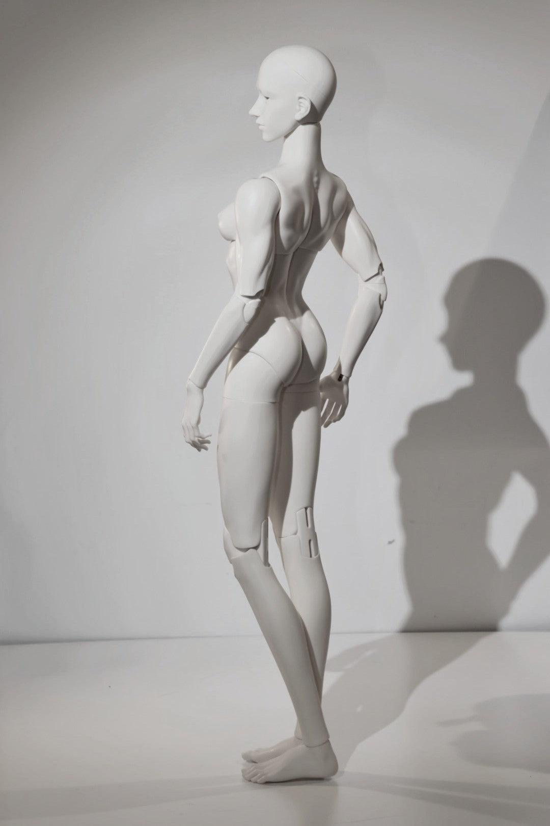 DevotionDoll 75cm Ashara BJD head and full set