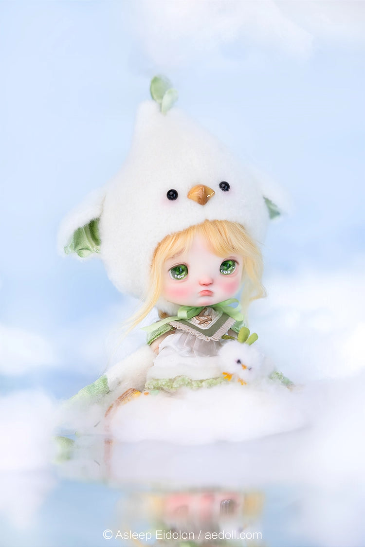 AEDOLL 1/6 full set ChuMi