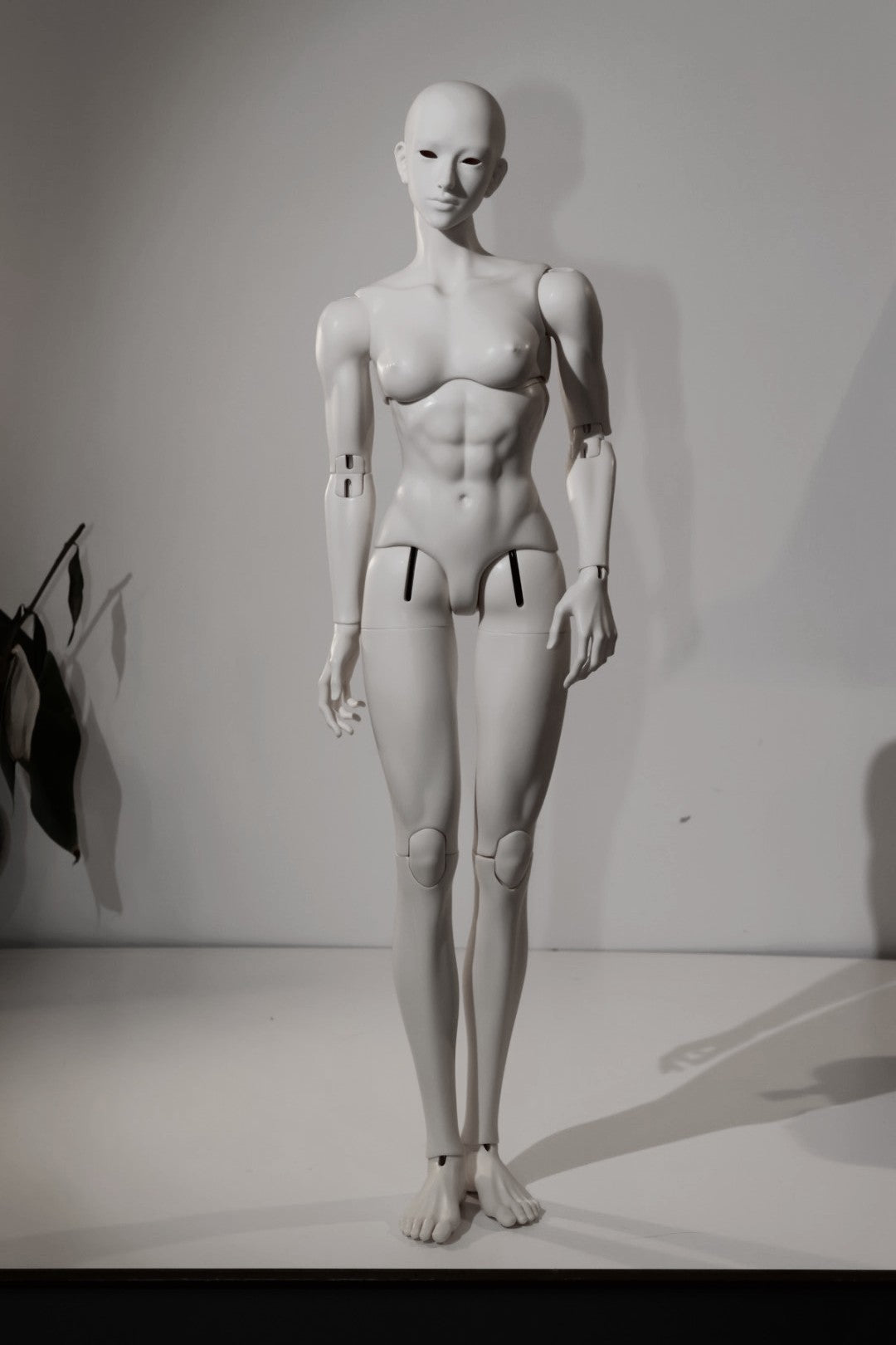 DevotionDoll 75cm Ashara BJD head and full set