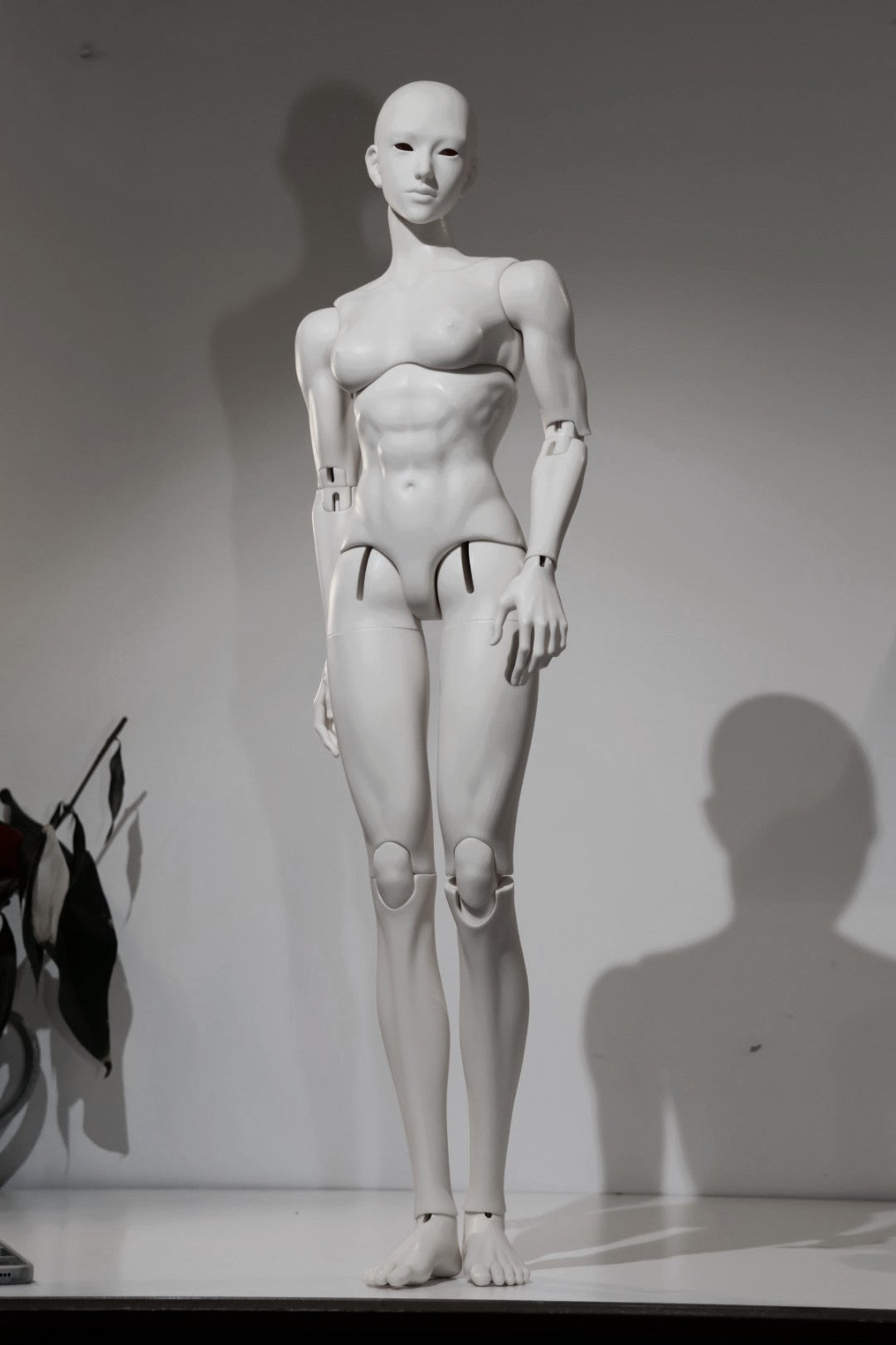 DevotionDoll 75cm Ashara BJD head and full set