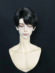 Caleb cos 1/3 75cm bjd wig Classic