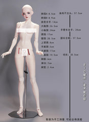 Aolingshi 62cm YueXi bjd body