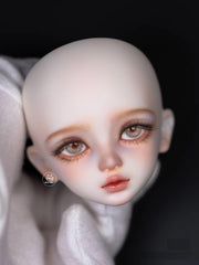 Pettimal 1/4 BJD Head | Body | Full Set