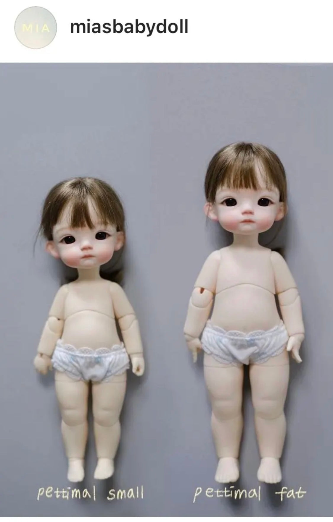 Pettimal 1/6 bjd Yaya/ fat sheep pro/ fat sheep body