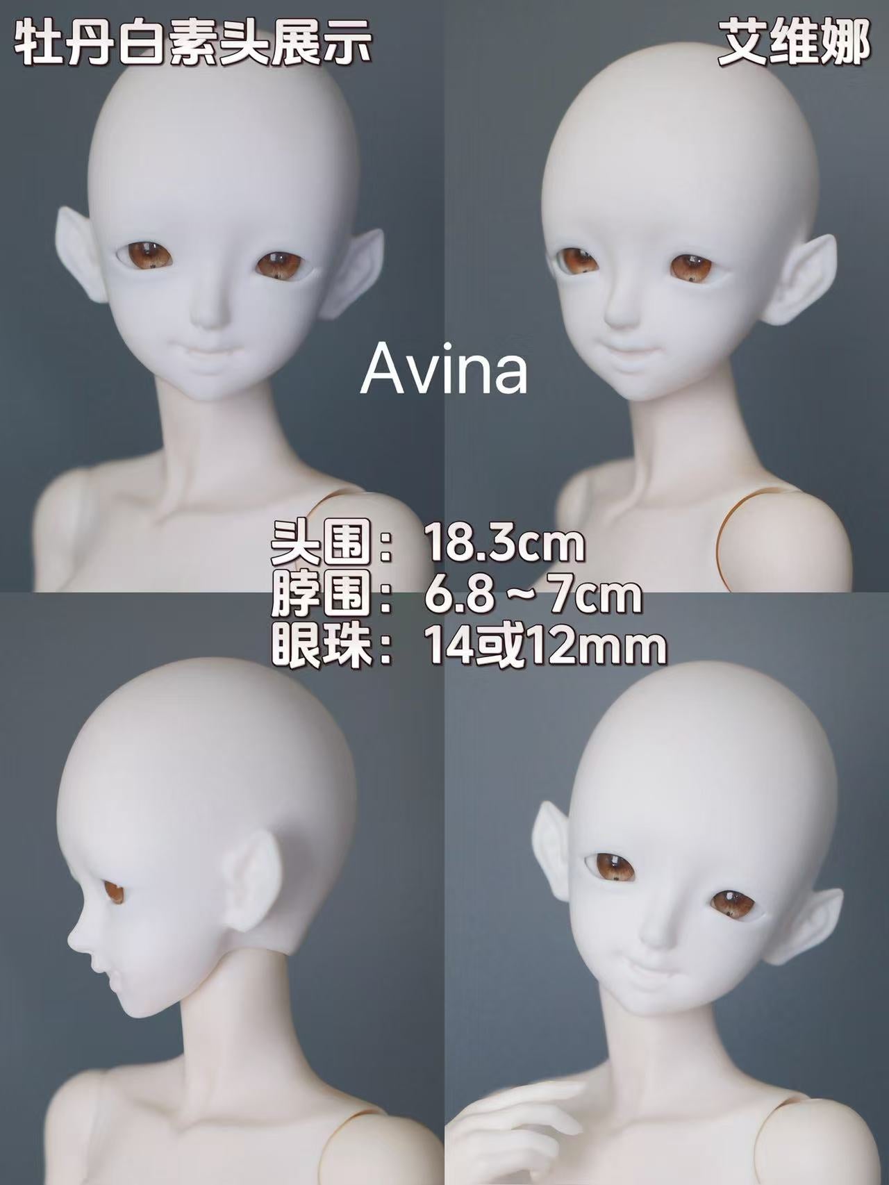 TC 1/4 BJD head Elvis & Avina