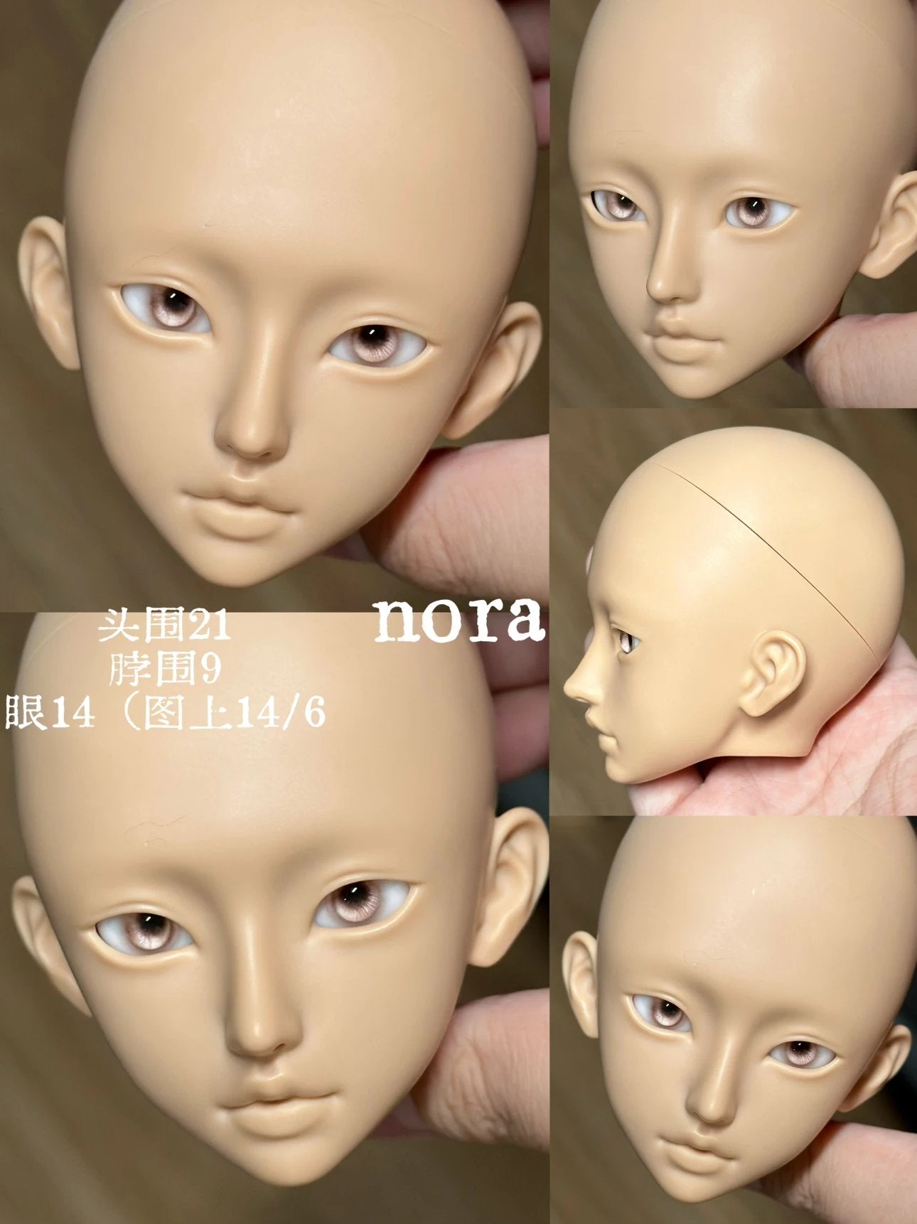ADASTRADOLL 1/3 BJD head Nora & Yanna