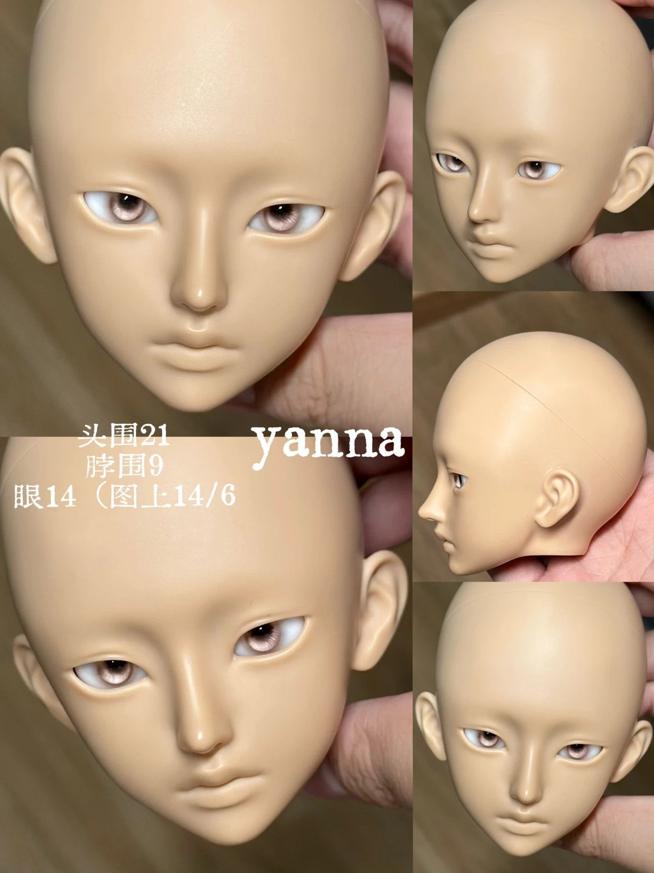 ADASTRADOLL 1/3 BJD head Nora & Yanna