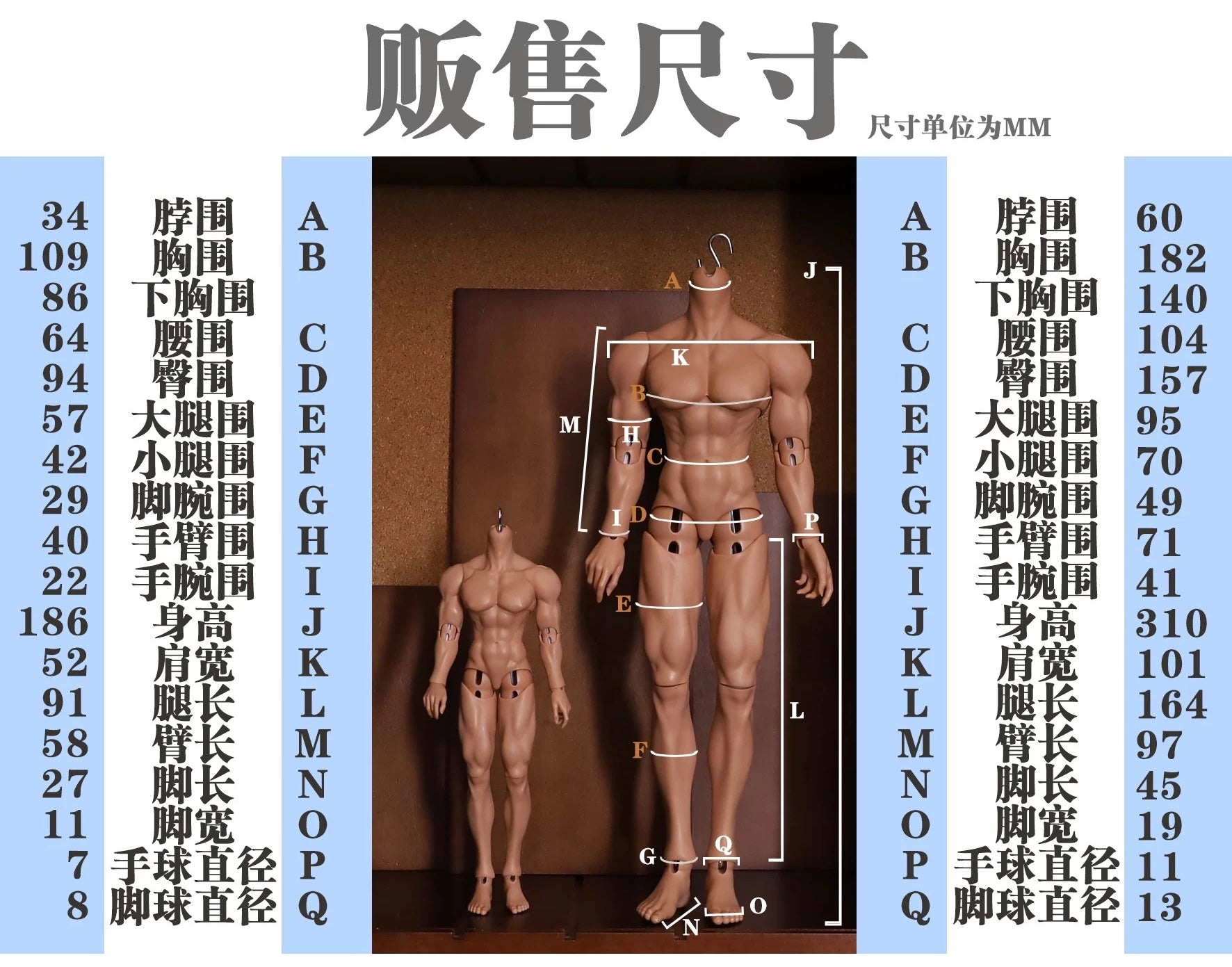 ForestDoll 1/8 1/6 1/4 bjd male body