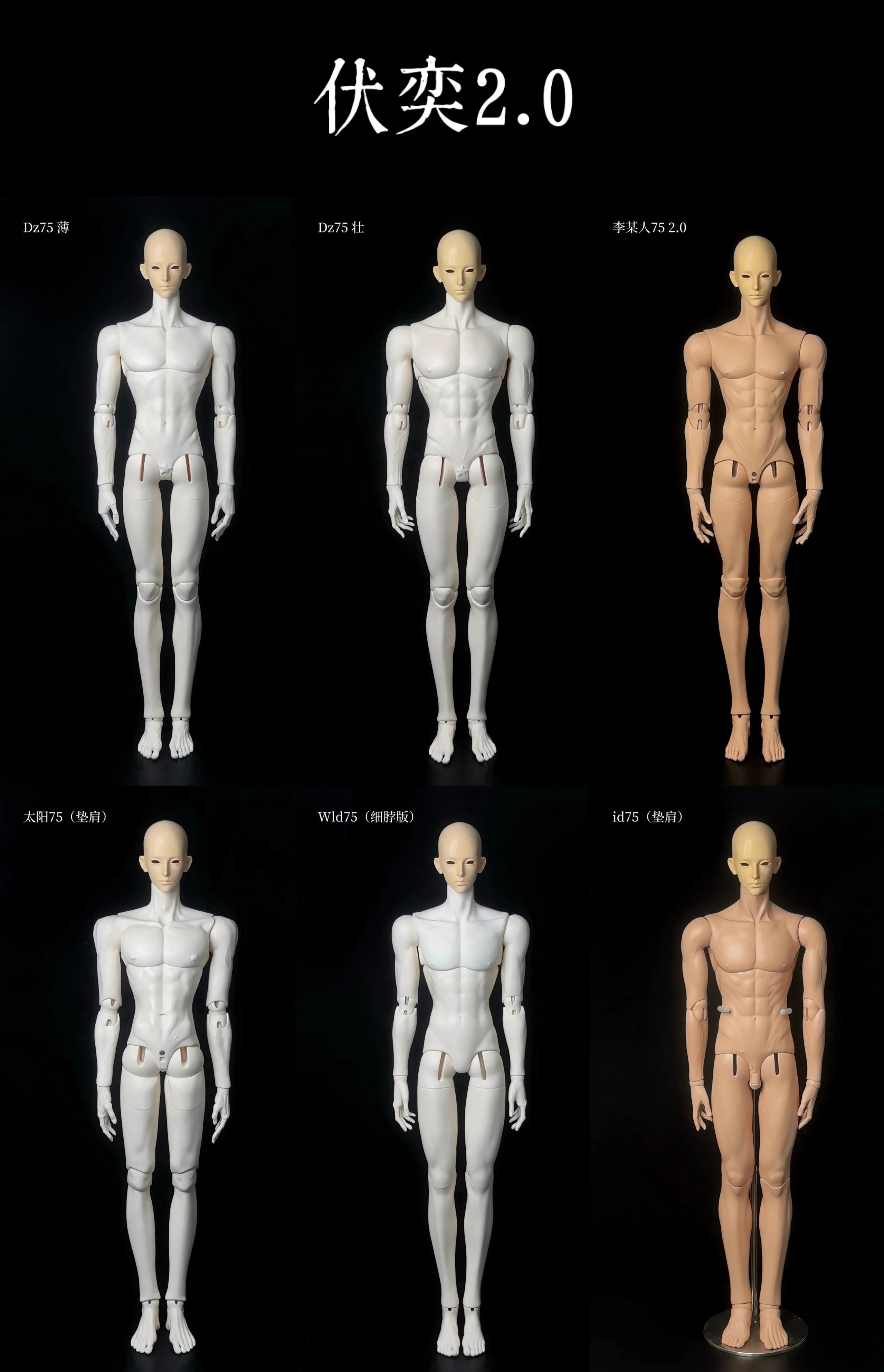 ShanGui 75cm BJD head FuYi 1.0 & FuYi 2.0