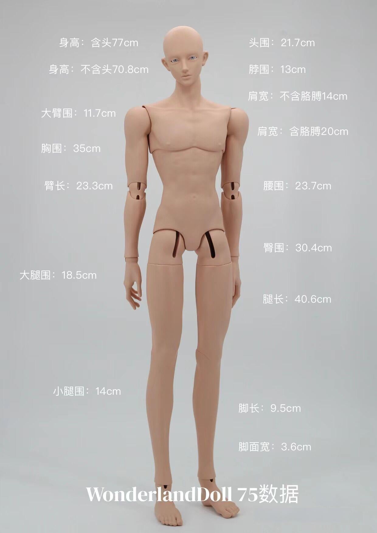 WonderlandDoll Aden 1/3 BJD Head Body Full Set for 75 Uncle