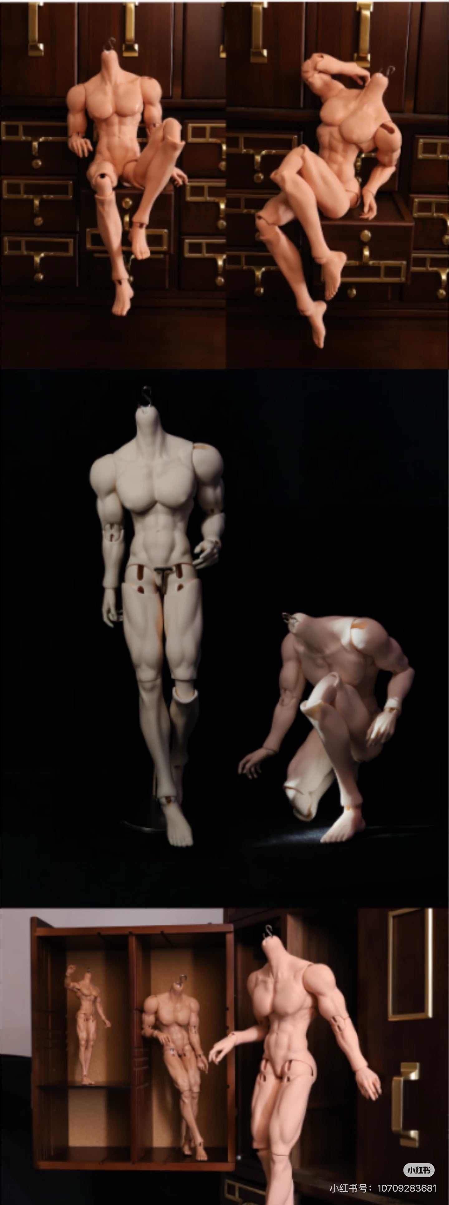 ForestDoll 1/8 1/6 1/4 bjd male body