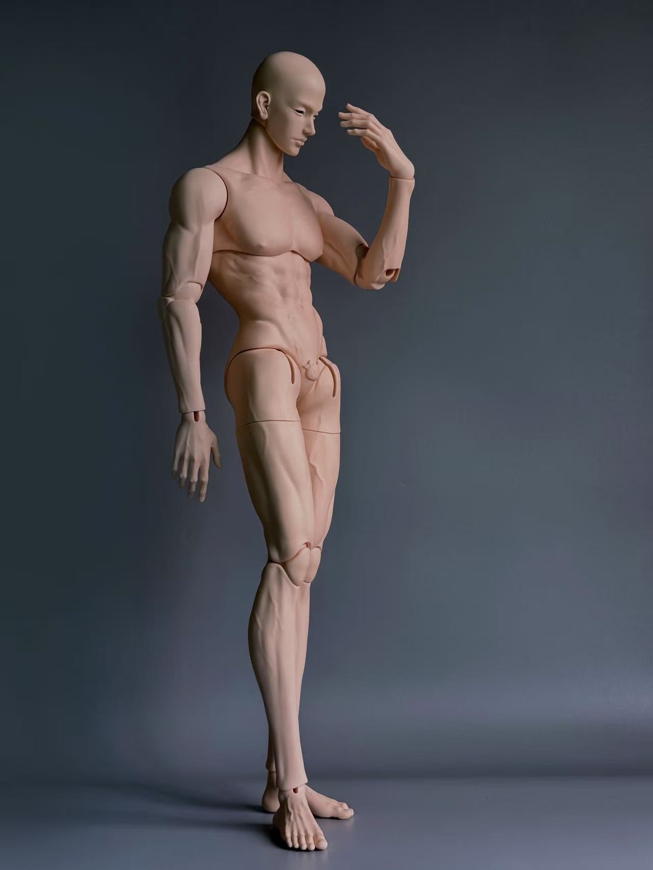AManDoll BJD body AM77
