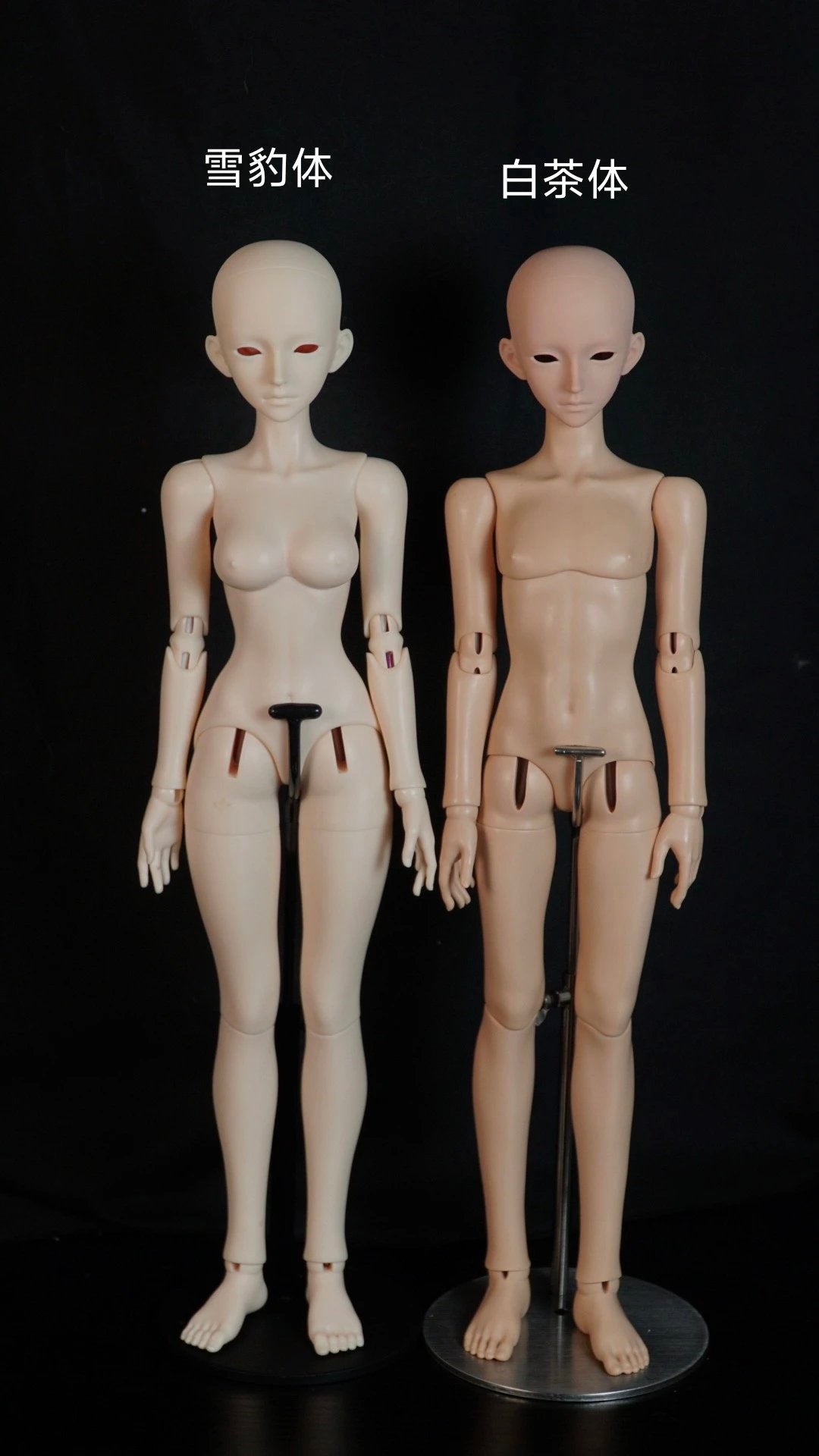 JR 1/4 bjd head Lie Zhao Ming