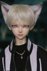 A4doll 70cm BJD head AF01 & AF02代购