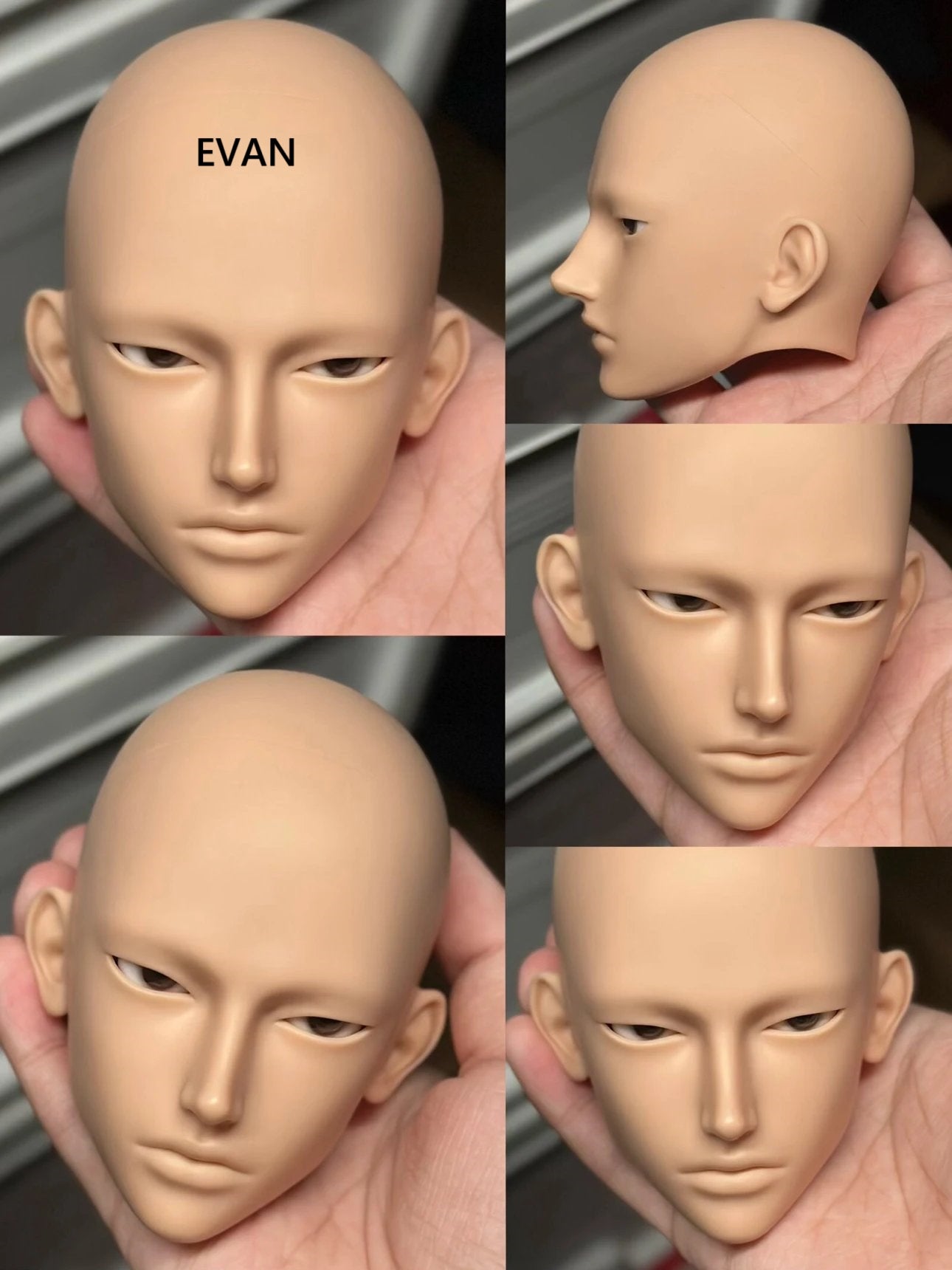 ADASTRADOLL 75cm BJD head Evan1.0 & Vito1.0代购