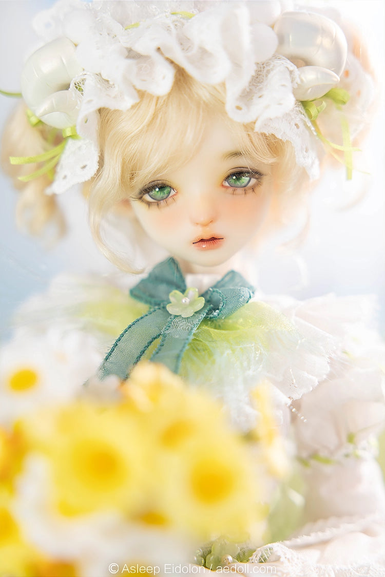 AEDOLL 1/4 full set Lambella with soft body