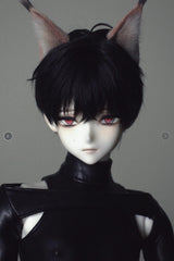 Asai XingXie 1/4 BJD head full set