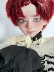 Azure doll 1/4 BJD Head Day & Night