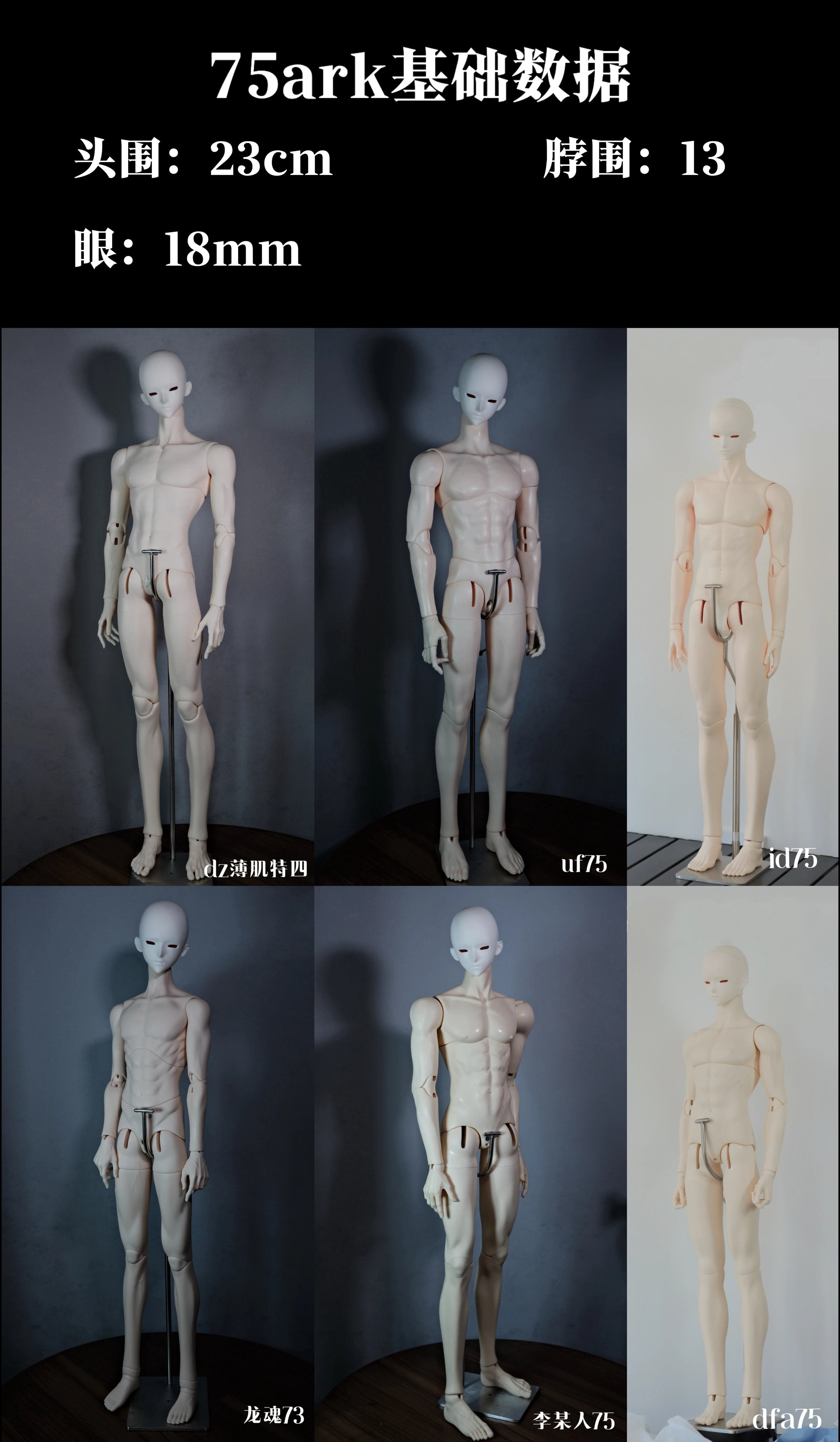 SOII 70cm 75cm BJD head Ark