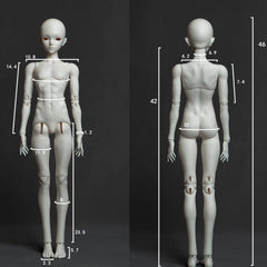 Coral Reef 1/4 bjd body for male