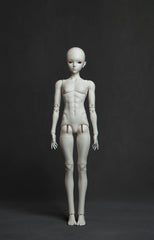 Coral Reef 1/4 bjd body for male
