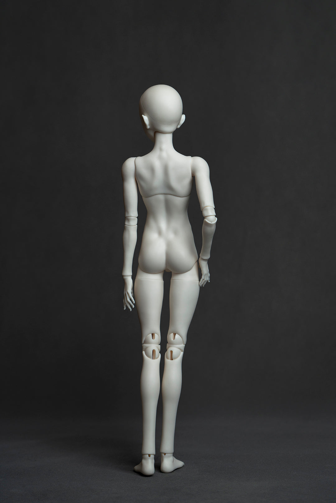 Coral Reef 1/4 bjd body for male