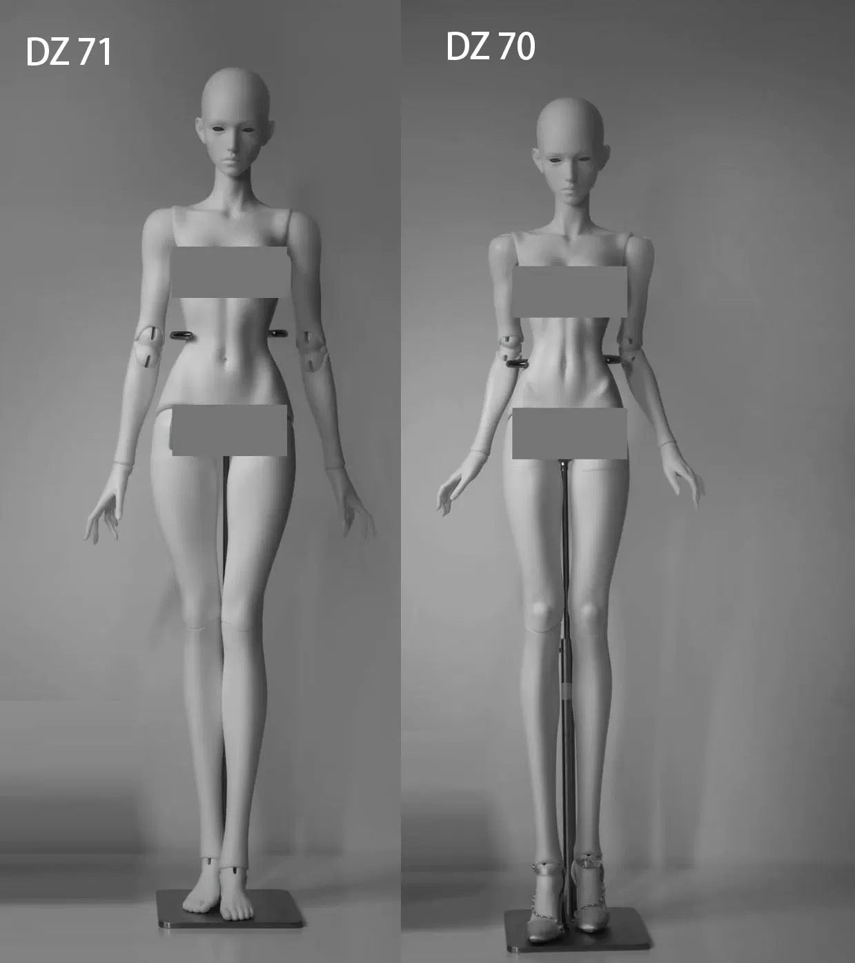 JR 1/3 BJD head Elara