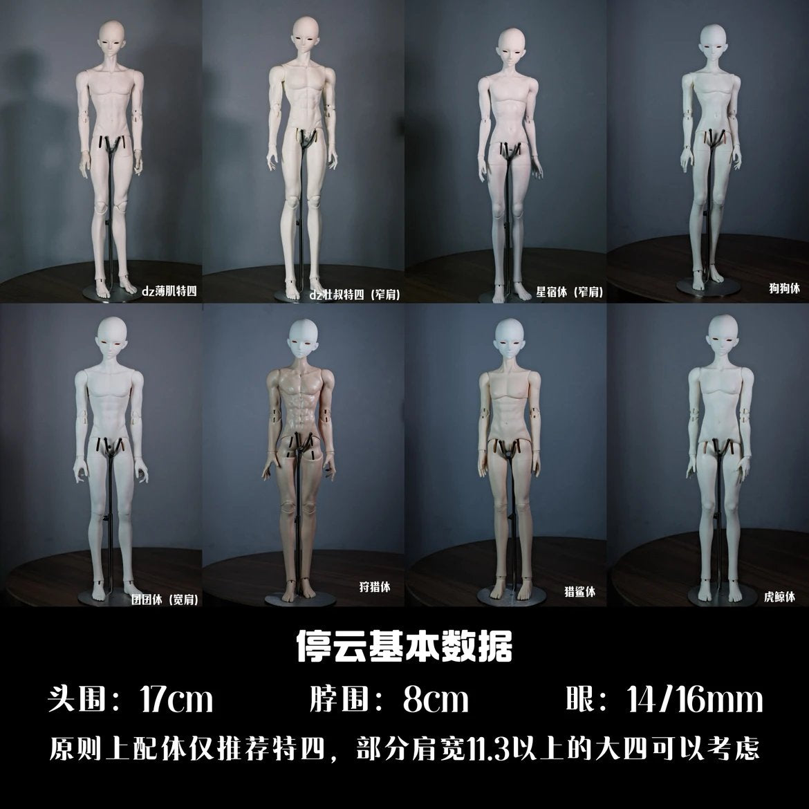 SOII 1/4 BJD head TingYun