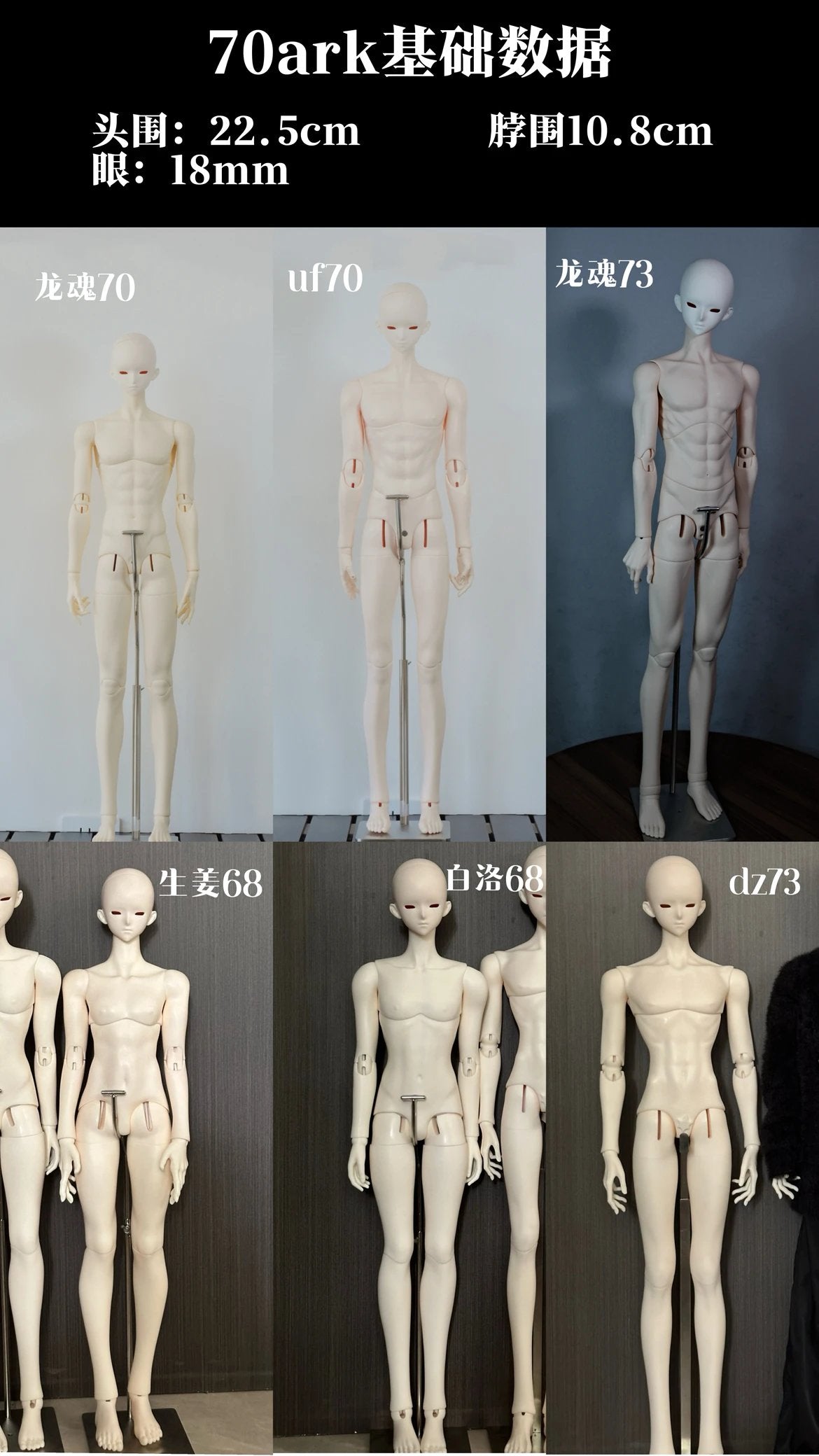 SOII 70cm 75cm BJD head Ark