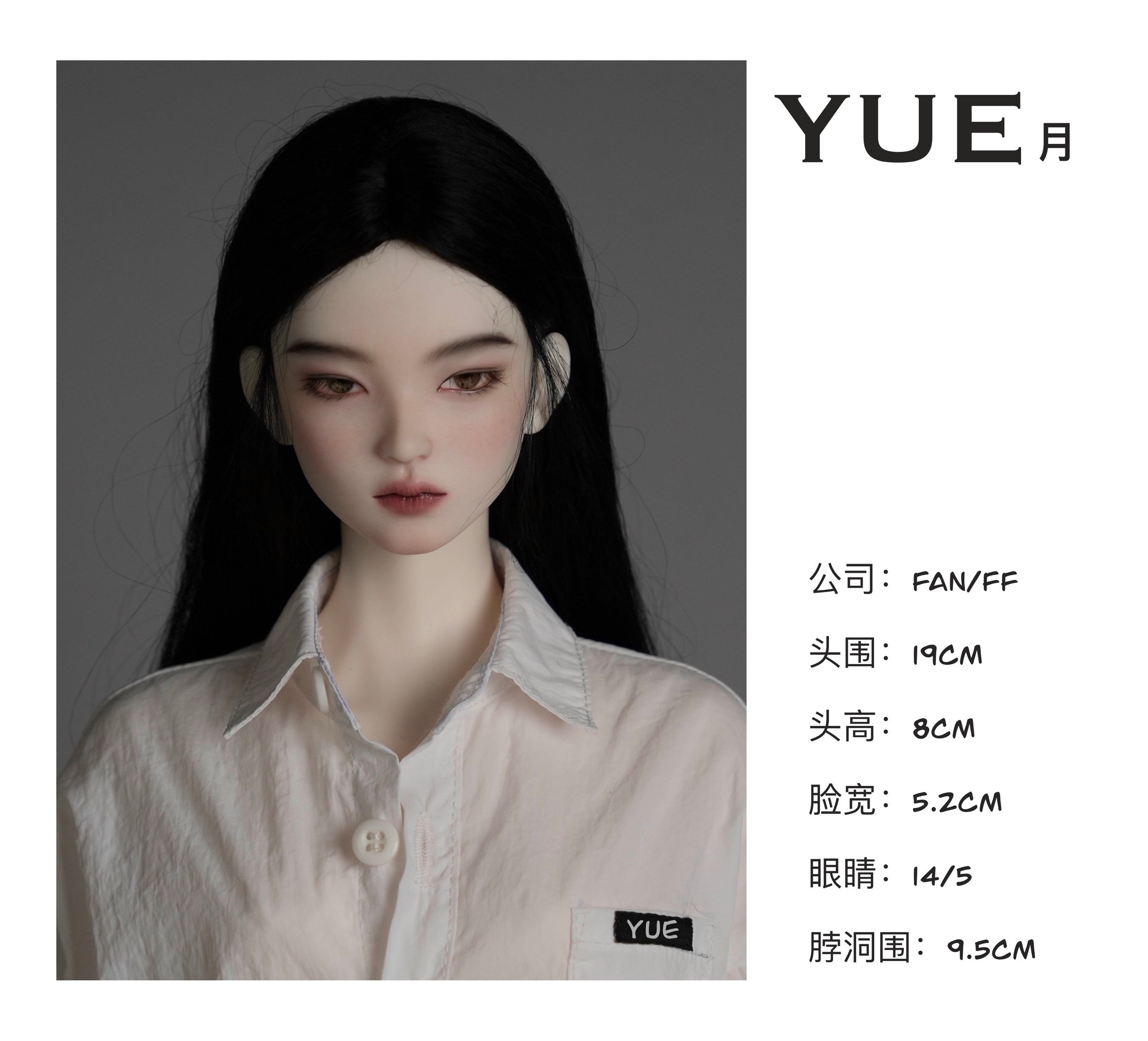 FANFF HAI｜YUE｜LIU｜LIN 1/3 BJD Head