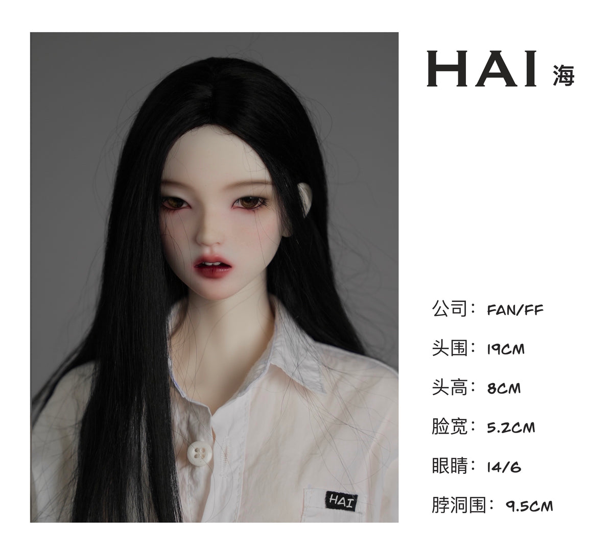 FANFF HAI｜YUE｜LIU｜LIN 1/3 BJD Head