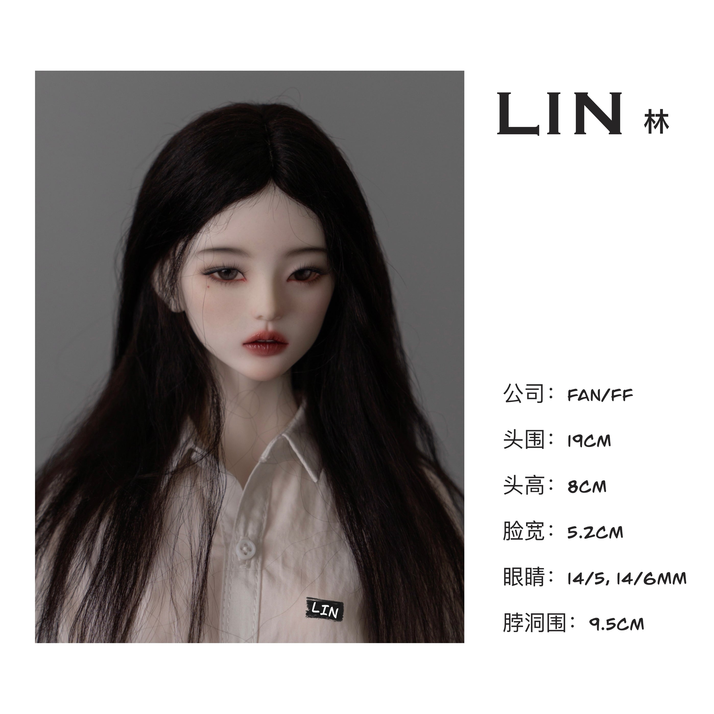 FANFF HAI｜YUE｜LIU｜LIN 1/3 BJD Head
