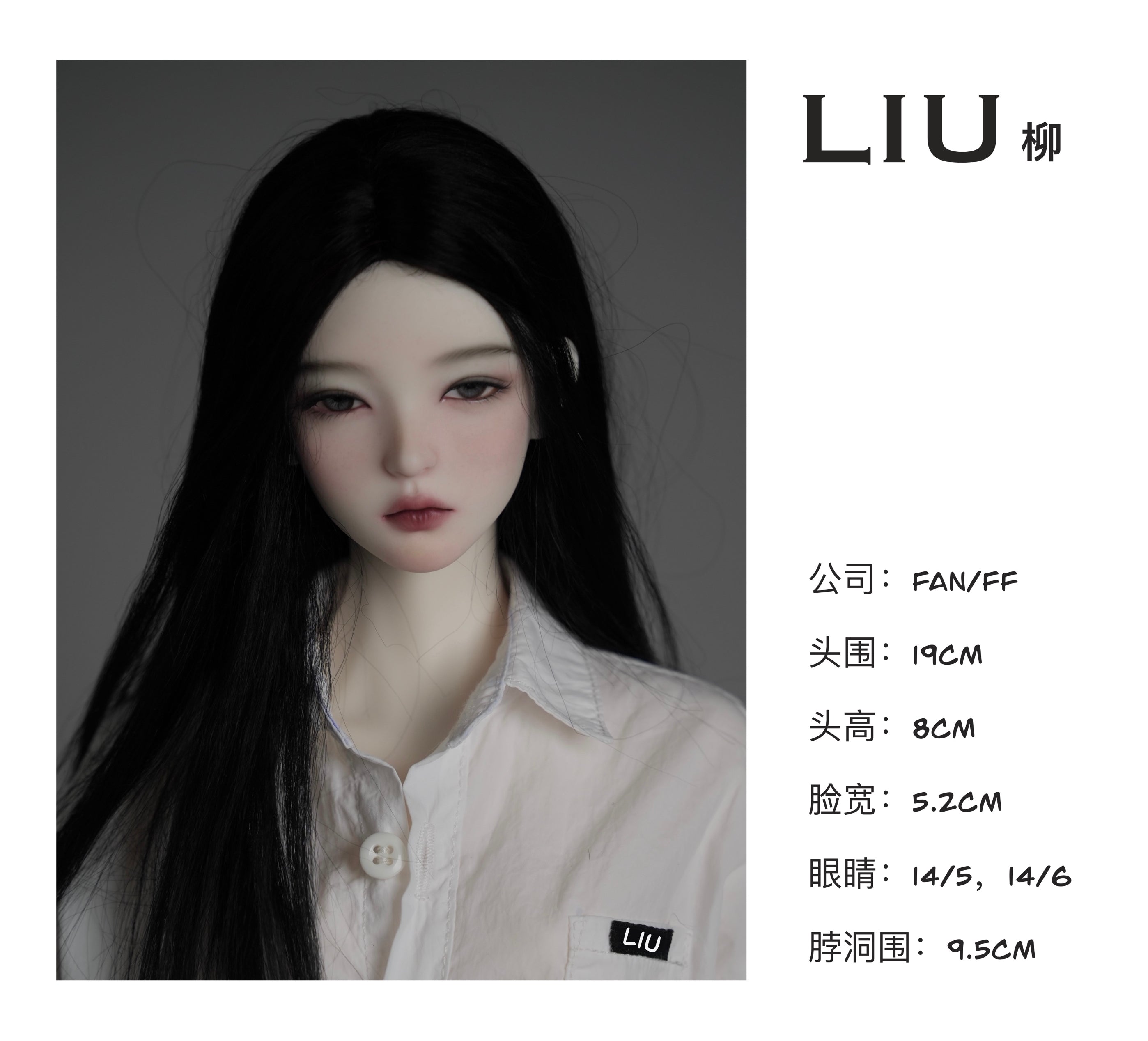 FANFF HAI｜YUE｜LIU｜LIN 1/3 BJD Head