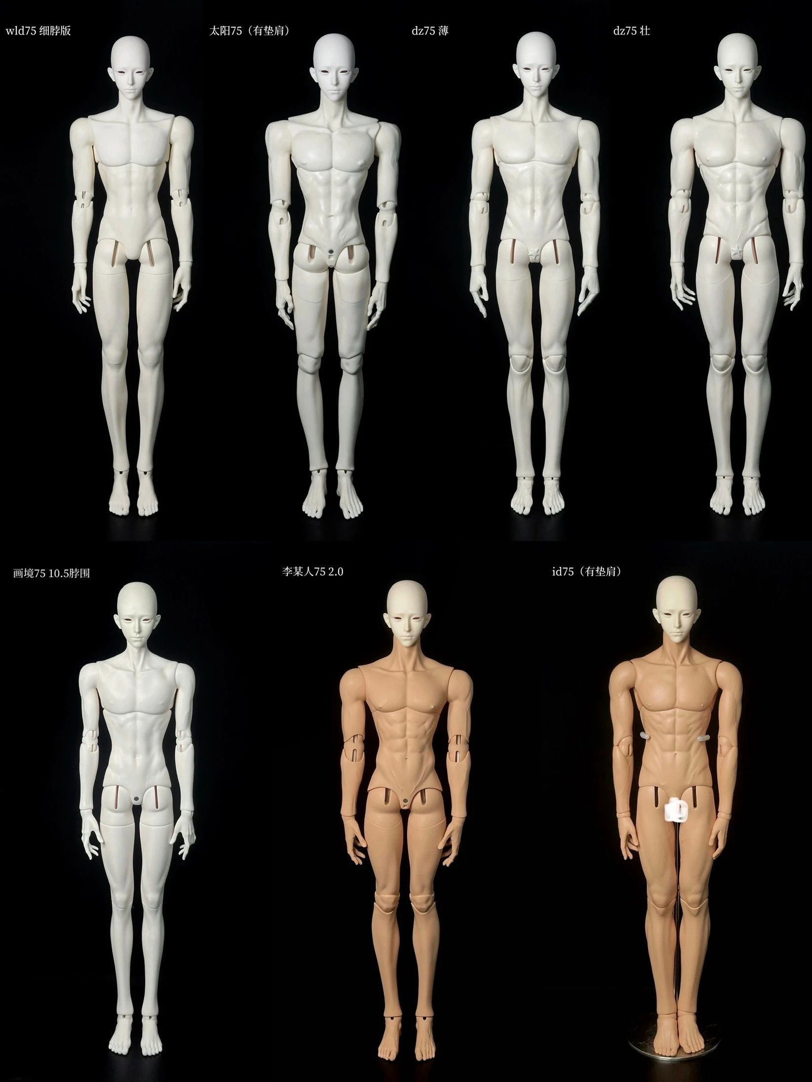 GYOYODOLL 75cm BJD head Gongliang Sian