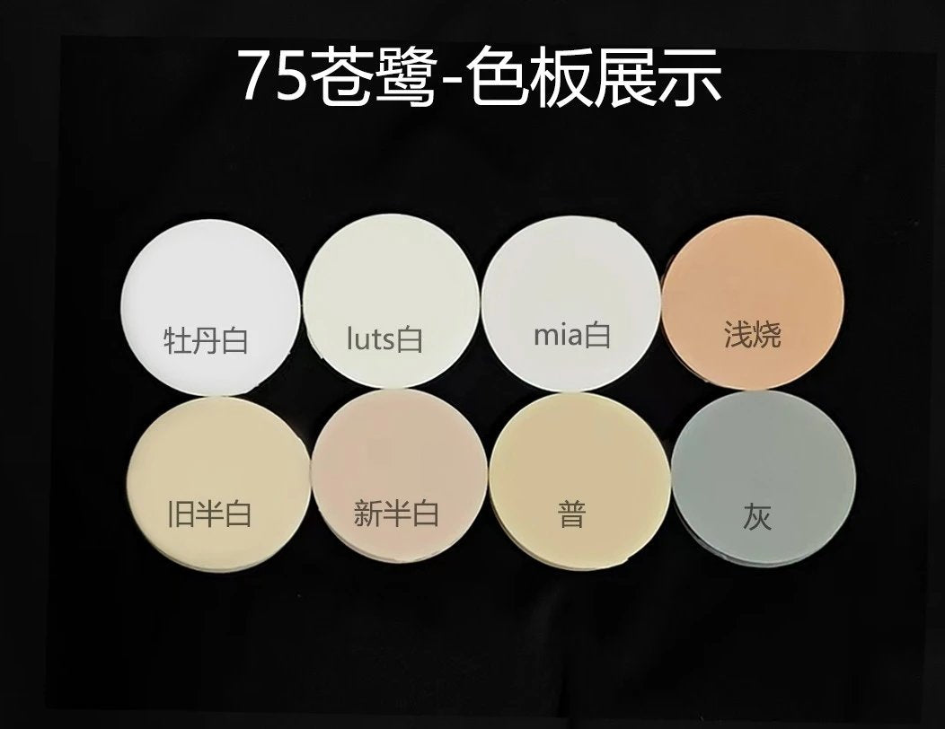 MasterDuck 75cm BJD head CangLu苍鹭