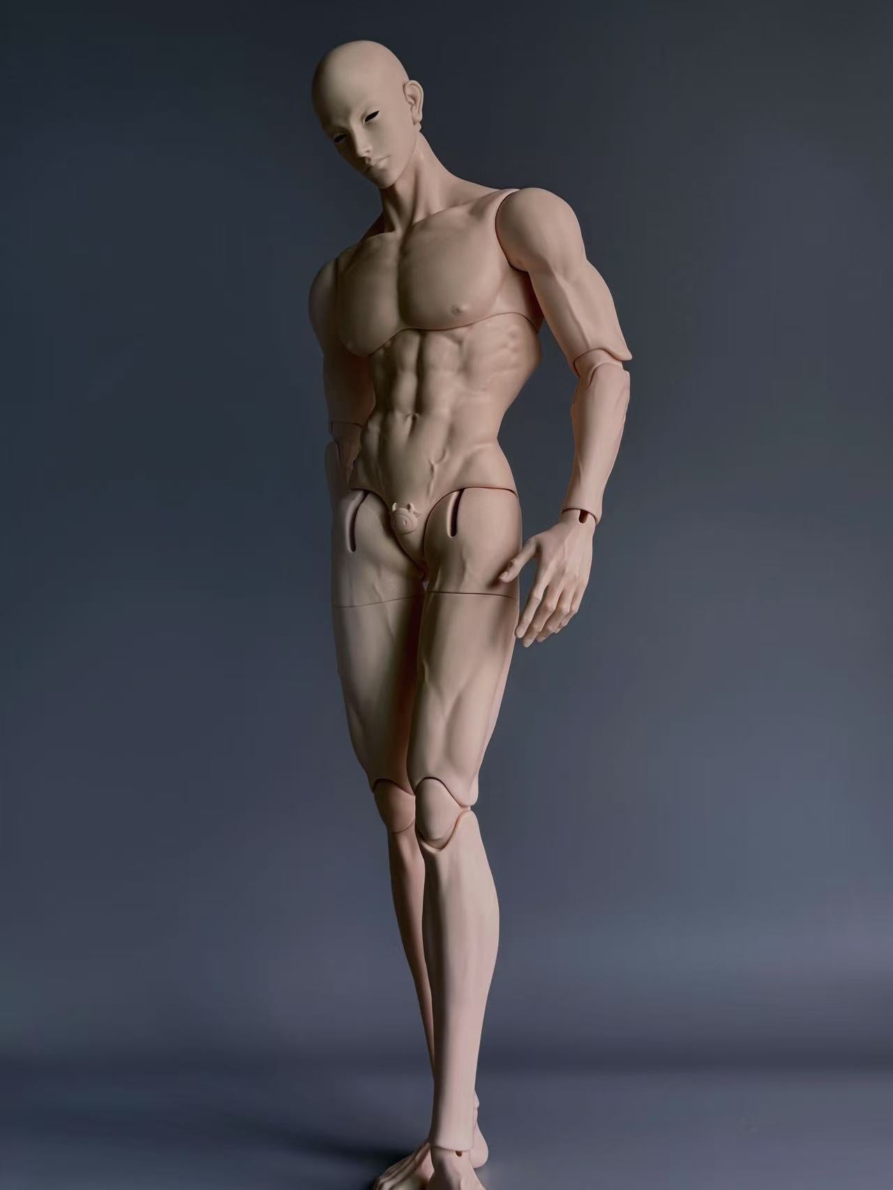 AManDoll BJD body AM77