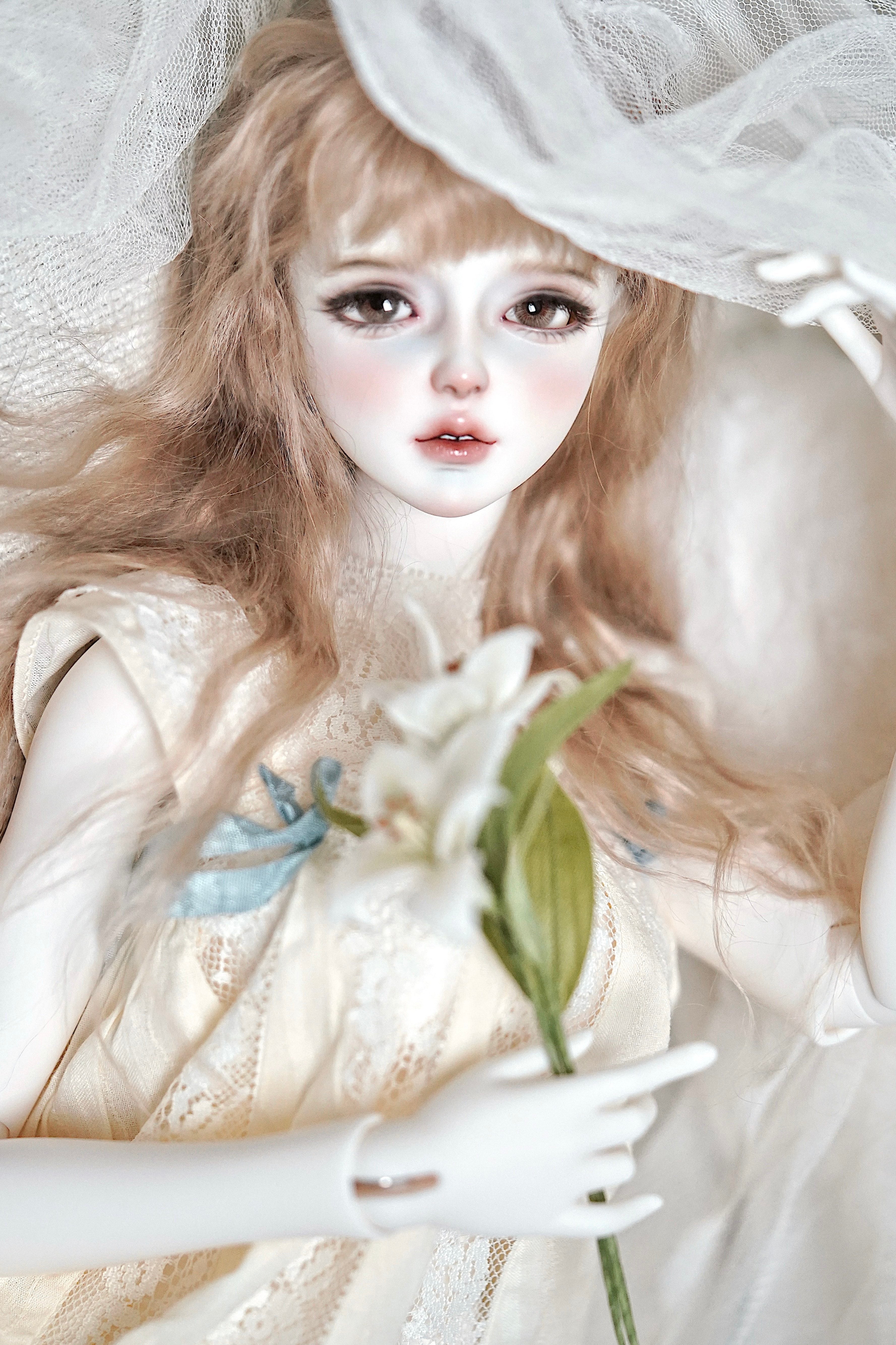 GalanteDoll 1/3 BJD Head Ali