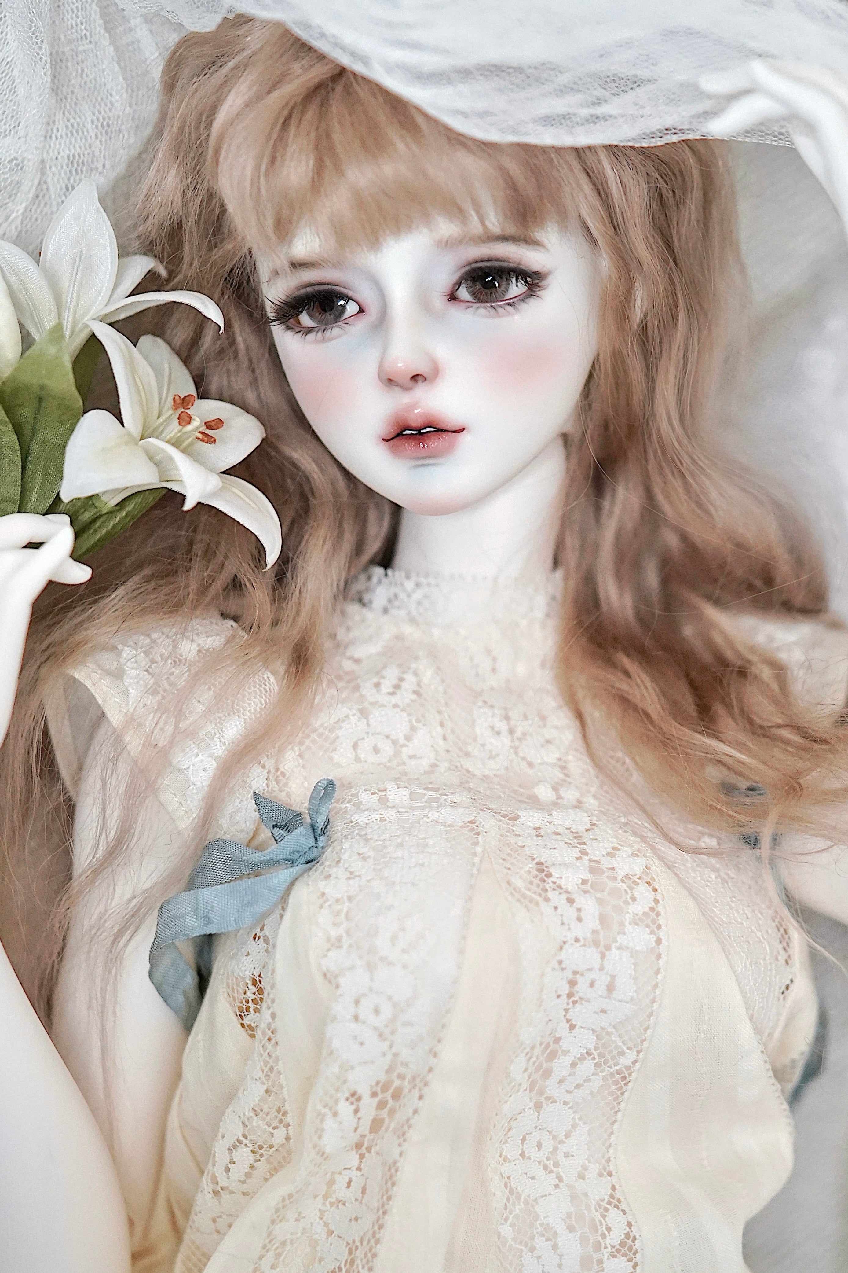 GalanteDoll 1/3 BJD Head Ali