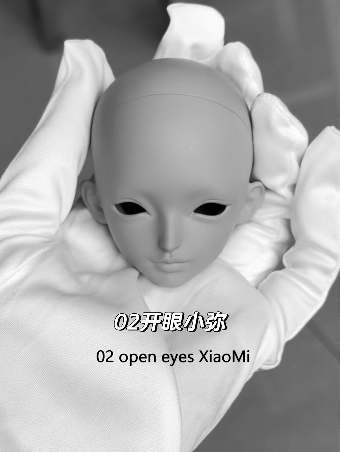 Hole 1/4 bjd head XiaoMi