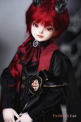 TwilightCat 1/4 RED bjd head