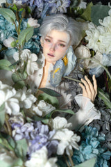 FlameRiverDoll Adonis 75cm BJD Head