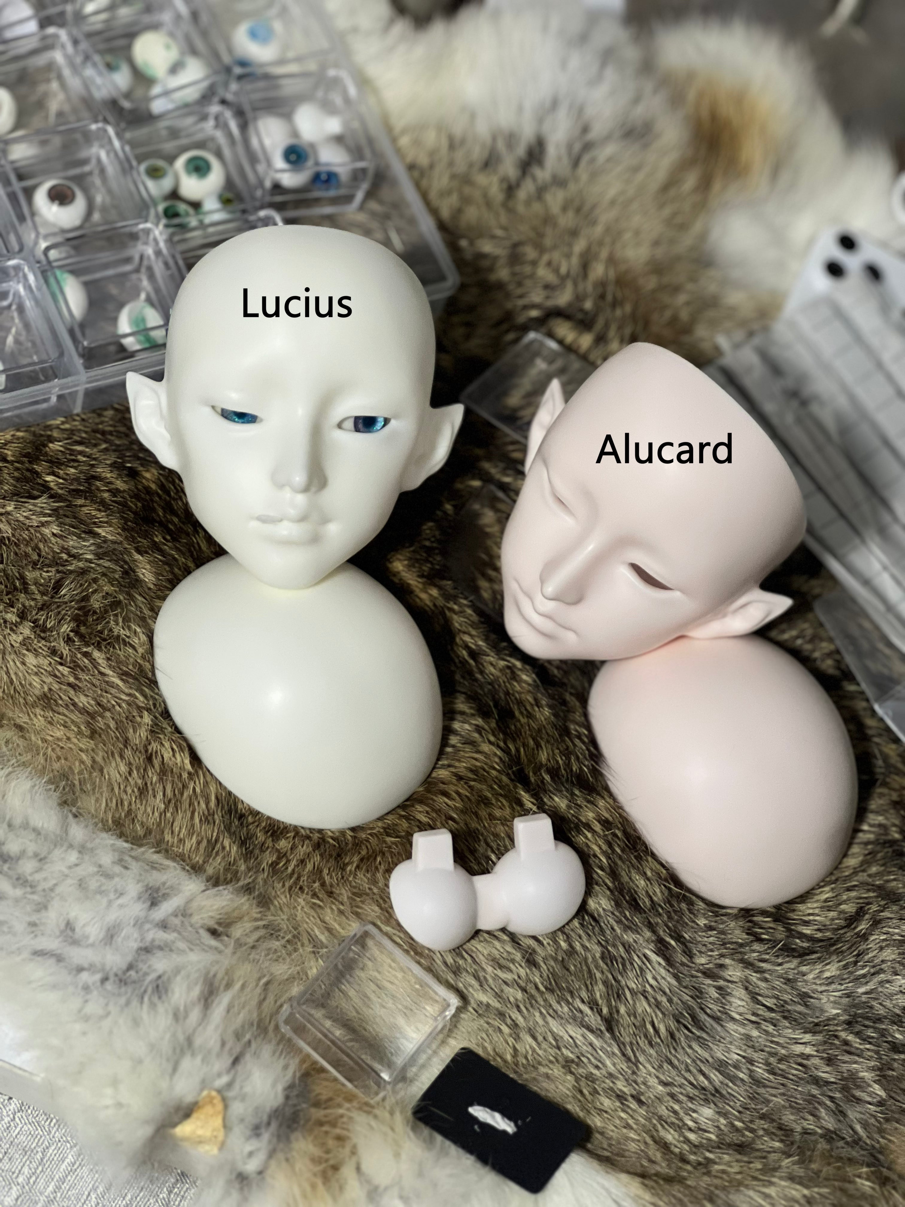 TheDreamWalker 75cm BJD head Alucard & Lucius