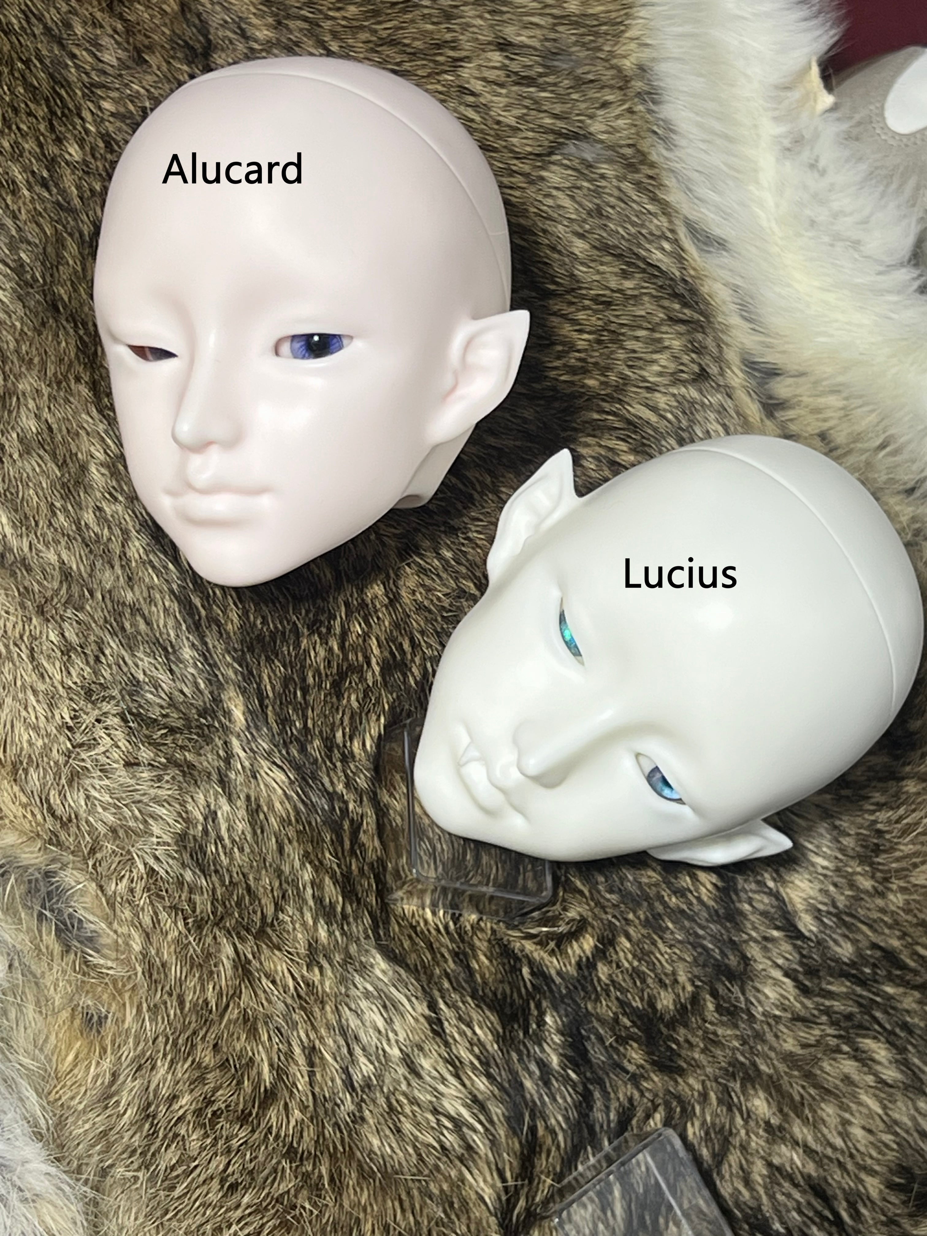 TheDreamWalker 75cm BJD head Alucard & Lucius