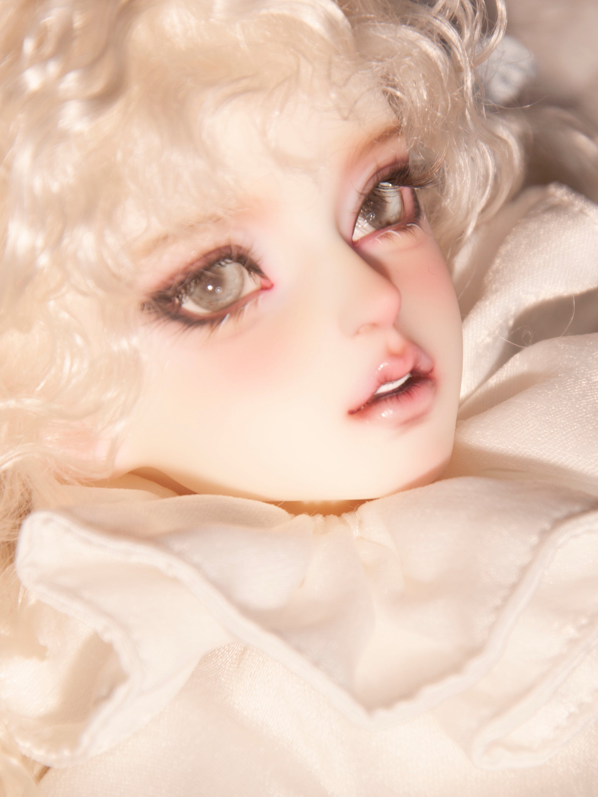 LizDoll 1/4 bjd head Velvet