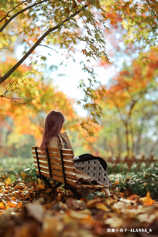 Meetdoll BJD Park Bench代购