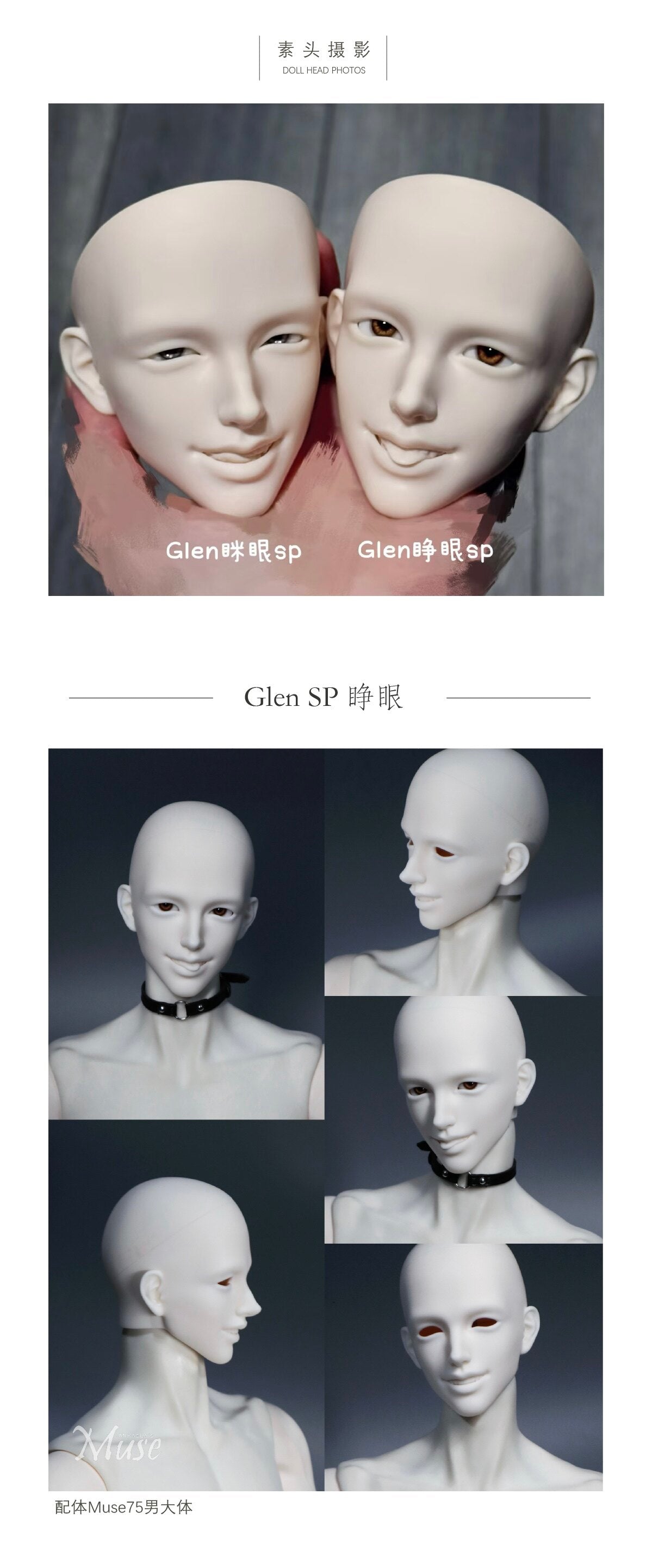Muse 75cm BJD head Glen SP