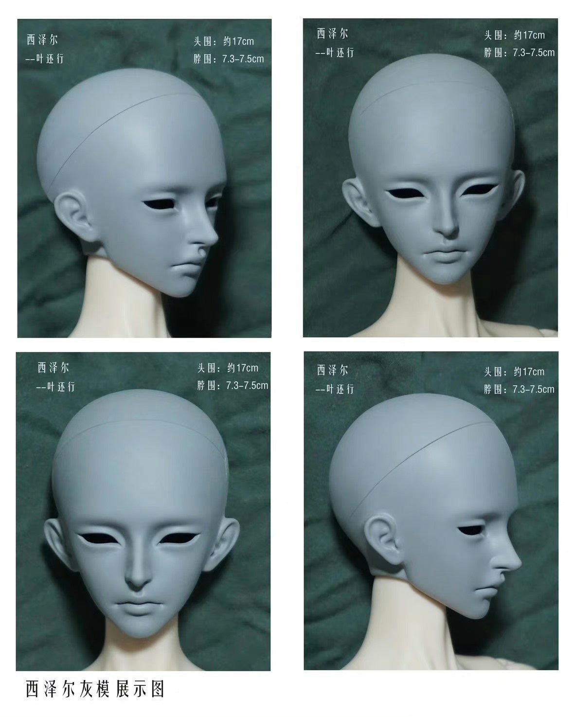 Nightingale Cesare 1/4 bjd head