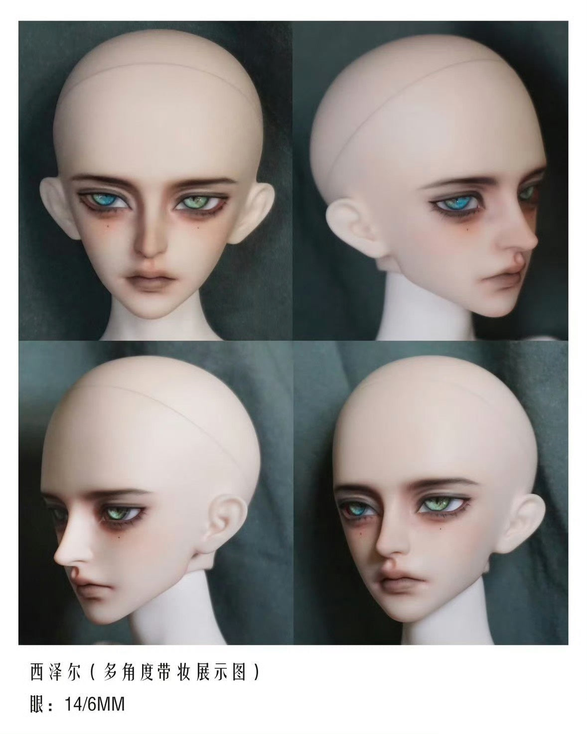 Nightingale Cesare 1/4 bjd head